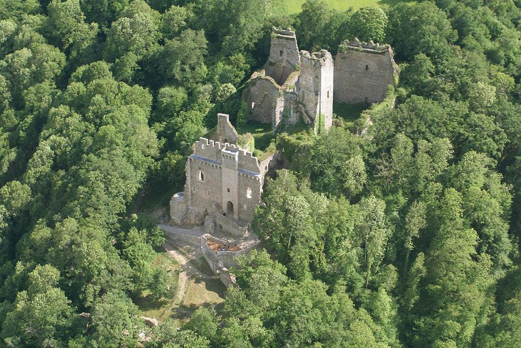 Bed and Breakfast Domaine De La Dame De Lauriere Solignac Exterior foto
